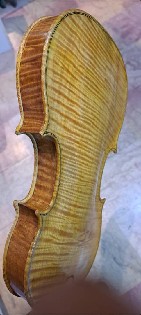 تولیدکنندگان مجرب